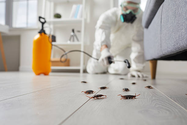 Post-Treatment Bed Bug Interceptor Monitoring in Harrisburg