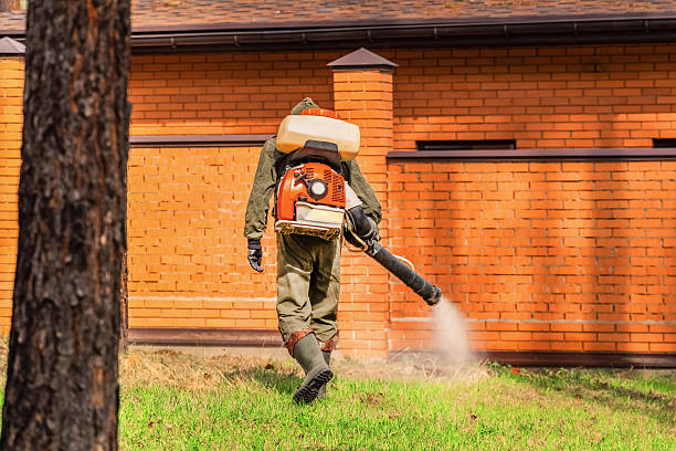 Bed Bug Clearance Verification and Documentation in Harrisburg